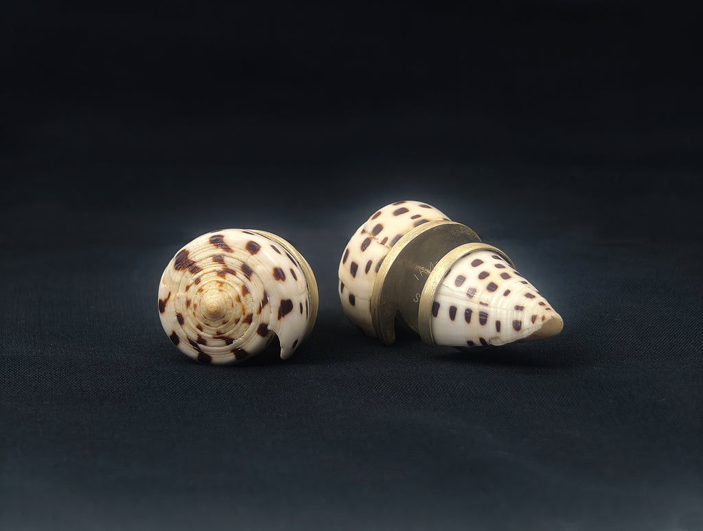 SHELL SUBENG EARRINGS