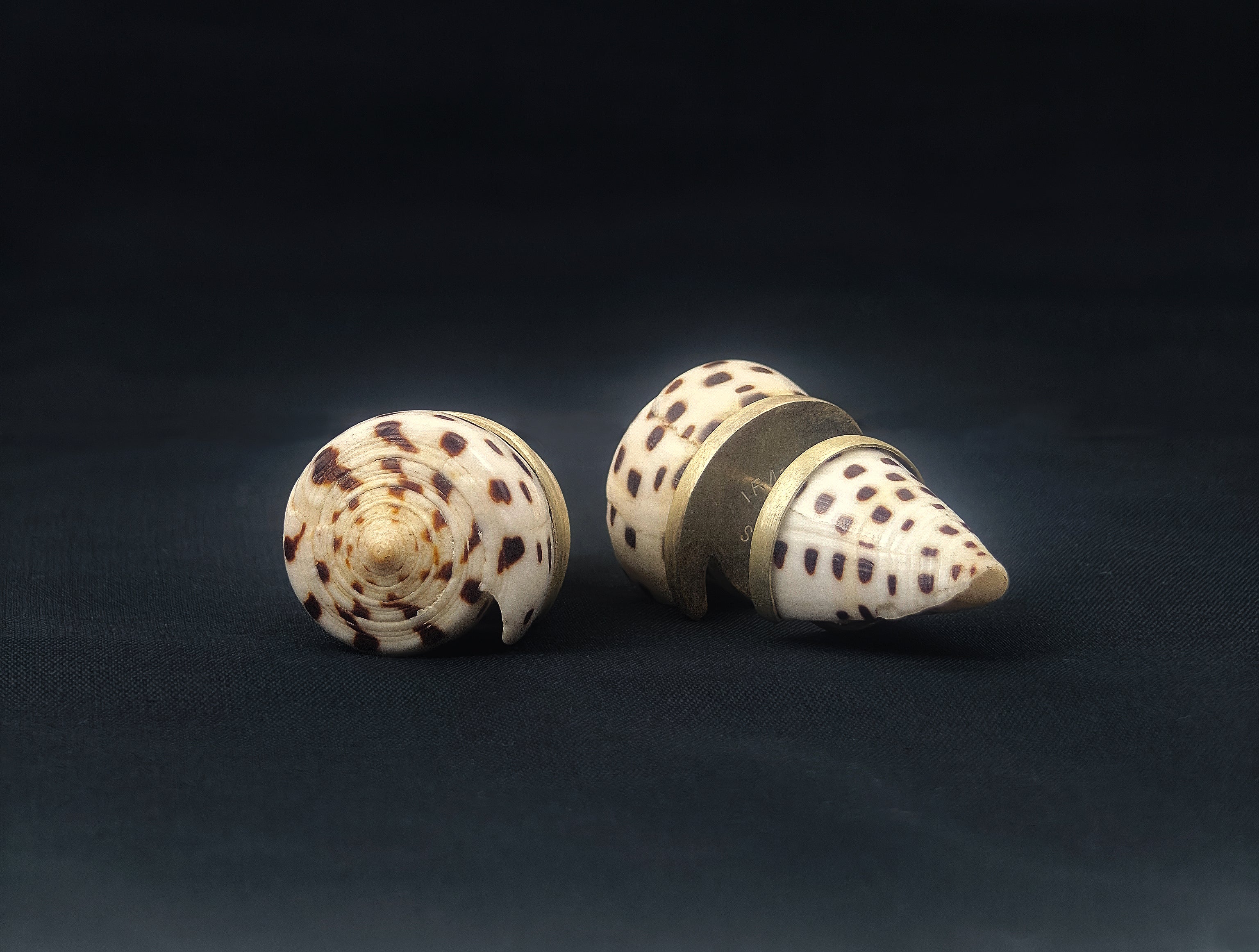 SHELL SUBENG EARRINGS