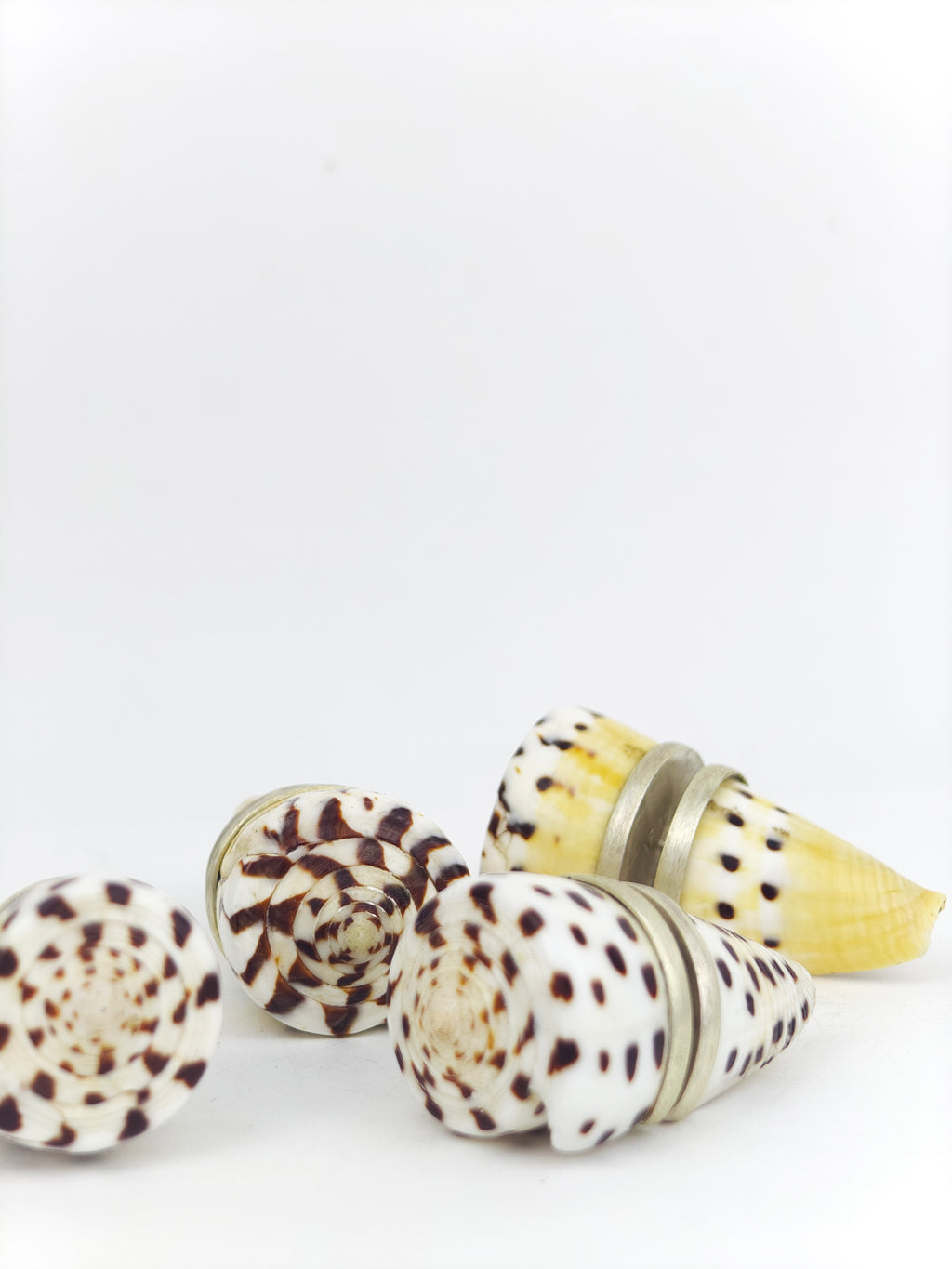 SHELL SUBENG EARRINGS