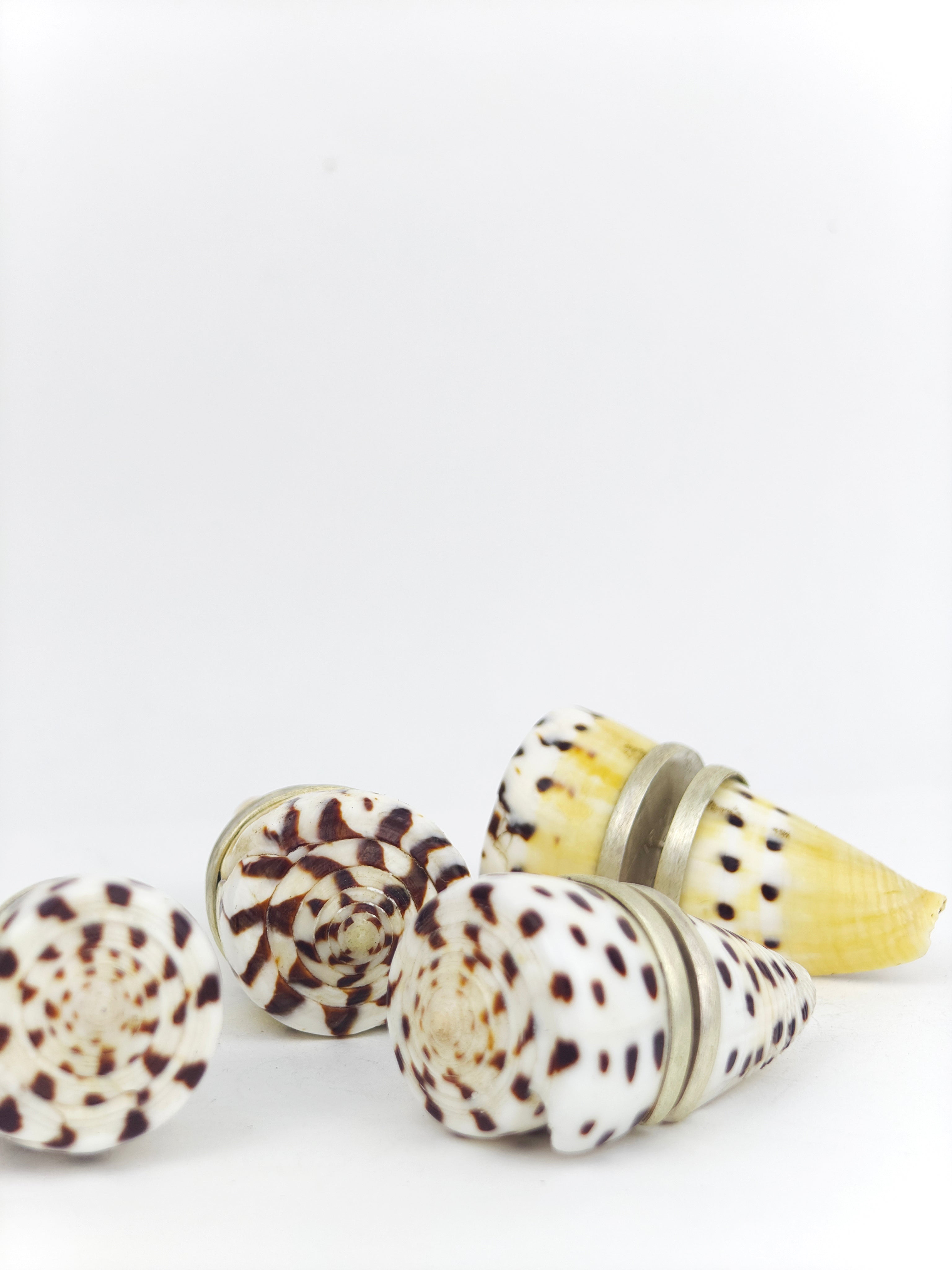 SHELL SUBENG EARRINGS